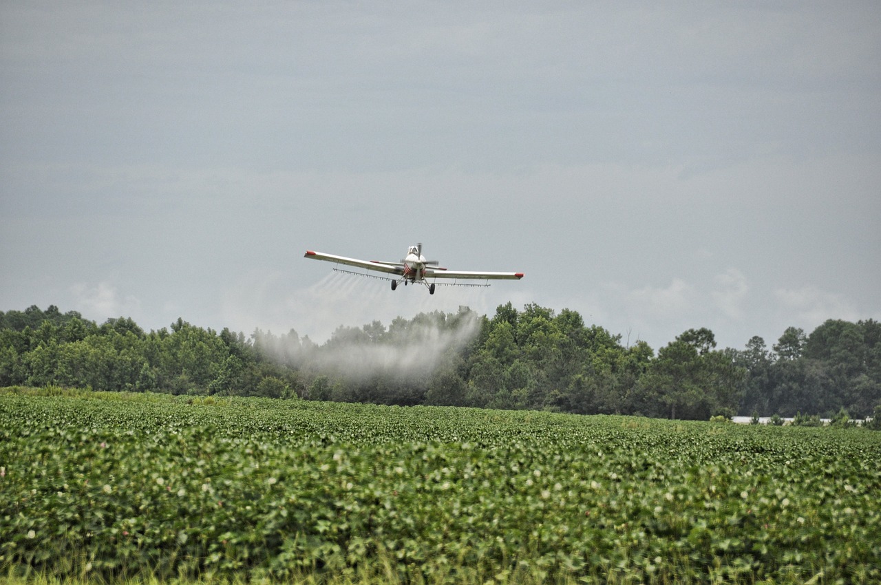 The Impact of Pesticides on Our Environment